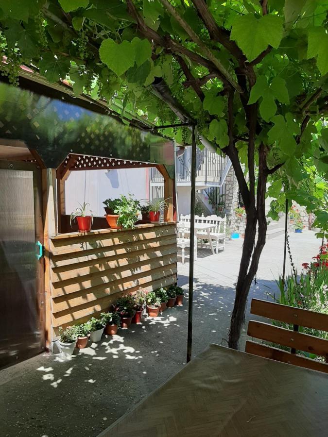 Hotel Bcm Family House Două Mai Zewnętrze zdjęcie