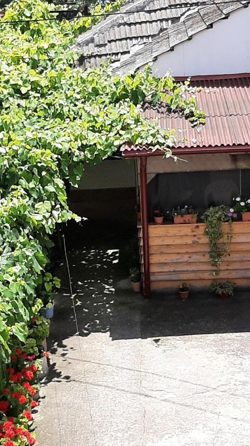 Hotel Bcm Family House Două Mai Zewnętrze zdjęcie