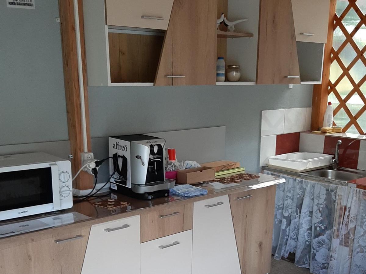 Hotel Bcm Family House Două Mai Zewnętrze zdjęcie
